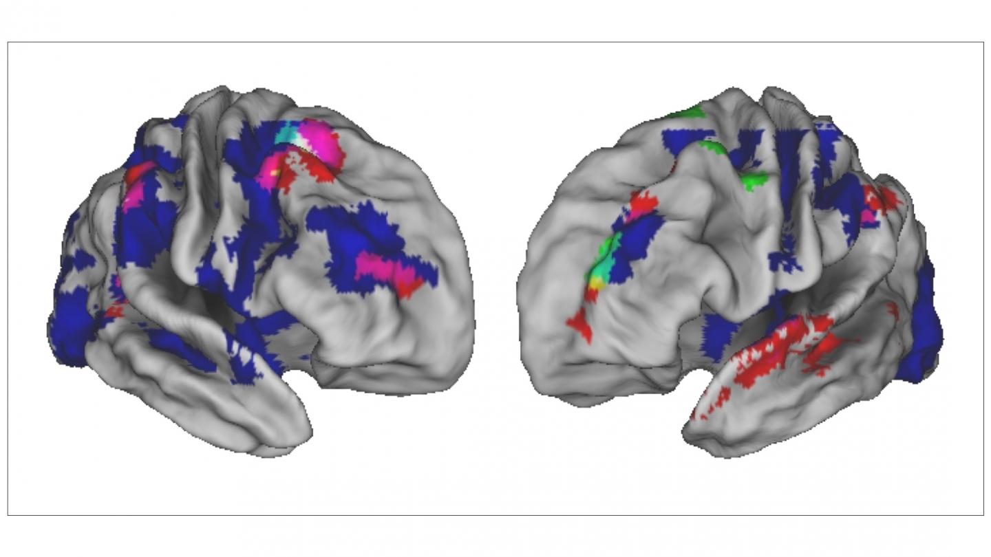 This is Your Brain Making Coffee