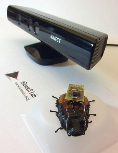 Cockroach on Autopilot