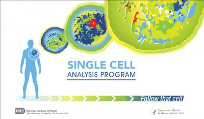 Follow That Cell