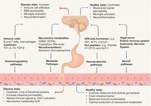 Bidirectional Signaling and Functional Roles of the Gut–Brain Axis
