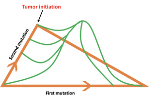 TUMOR 2