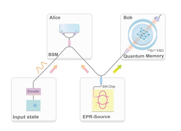 Quantum teleportation from telecom photons to erbium-ion ensembles