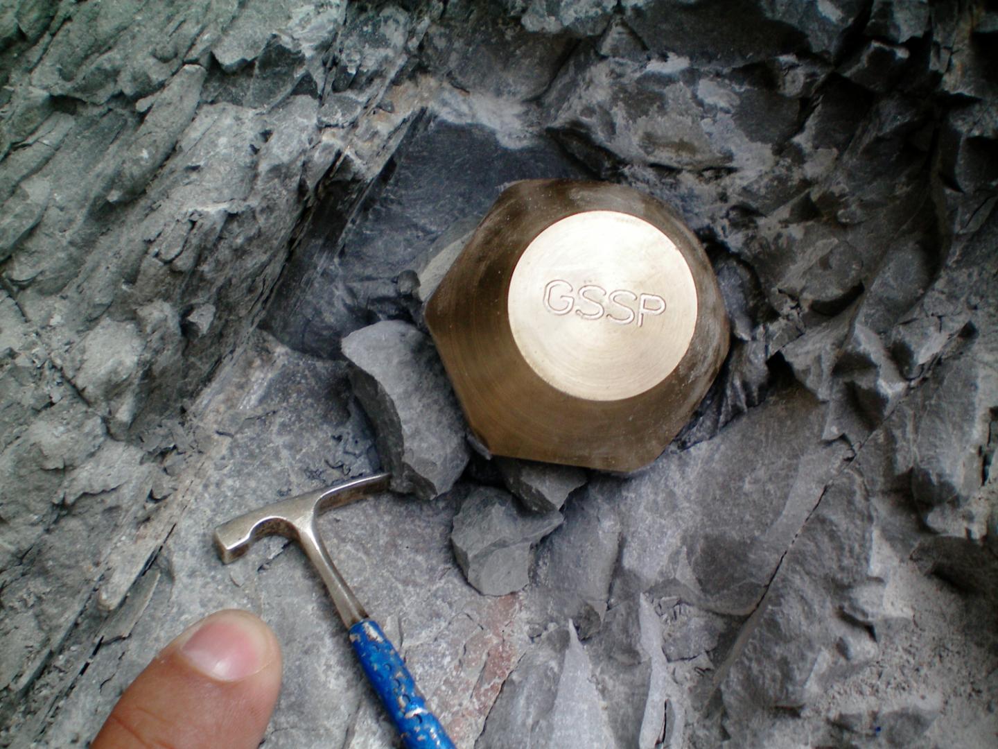 Figure 3 from Finney and Edwards