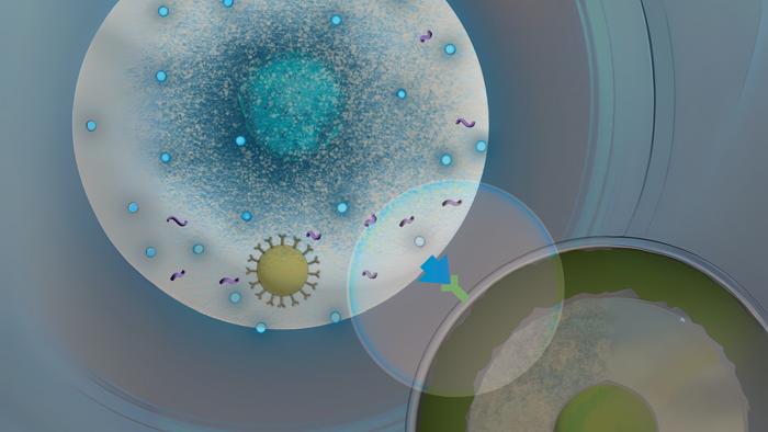 In situ CAR-T therapy