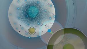 In situ CAR-T therapy