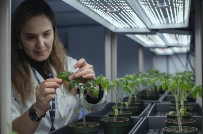 Nasim Sedighian, environmental microbiology researcher
