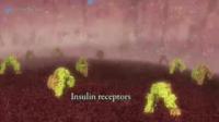 Mike Lawrence Explains Insulin Docking