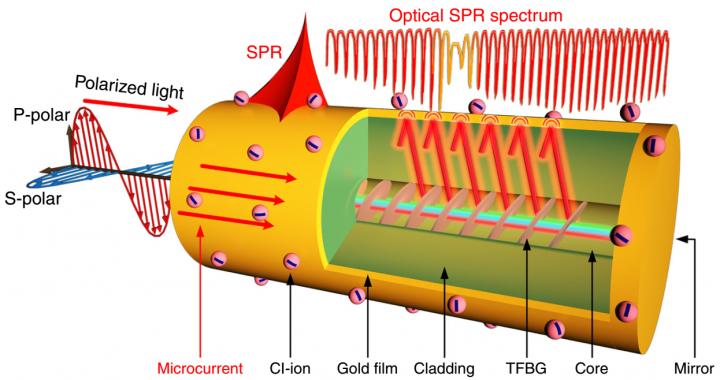 Figure 2 TFBG Optical Fiber Sensor