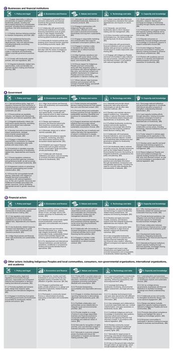 Actions various actors can undertake to create an enabling environment for businesses