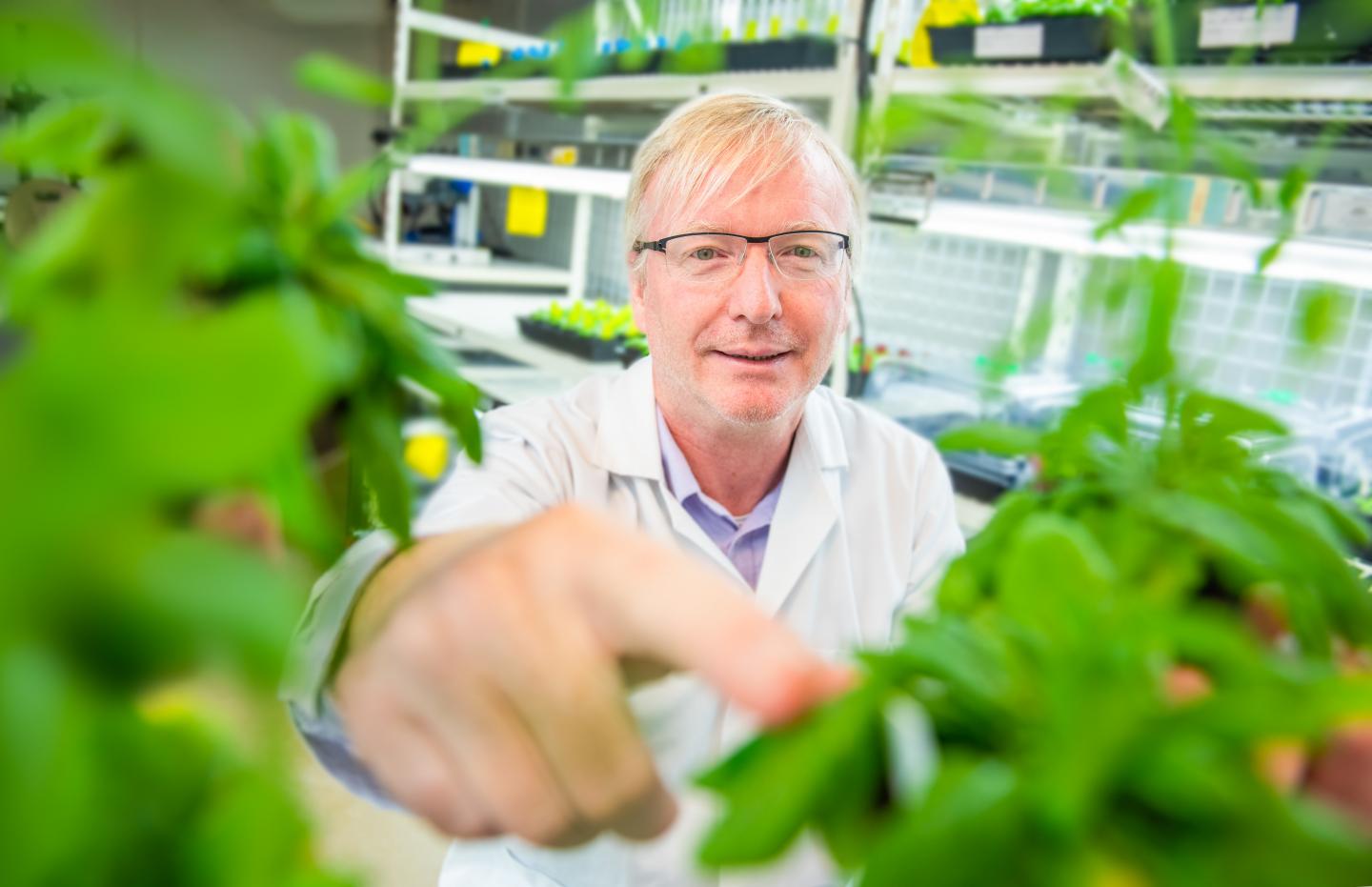 Professor Jim Whelan, La Trobe University