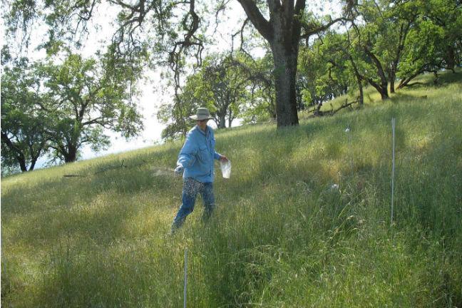 Harpole Fertilizing