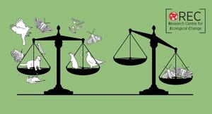 Ecosystem stability.