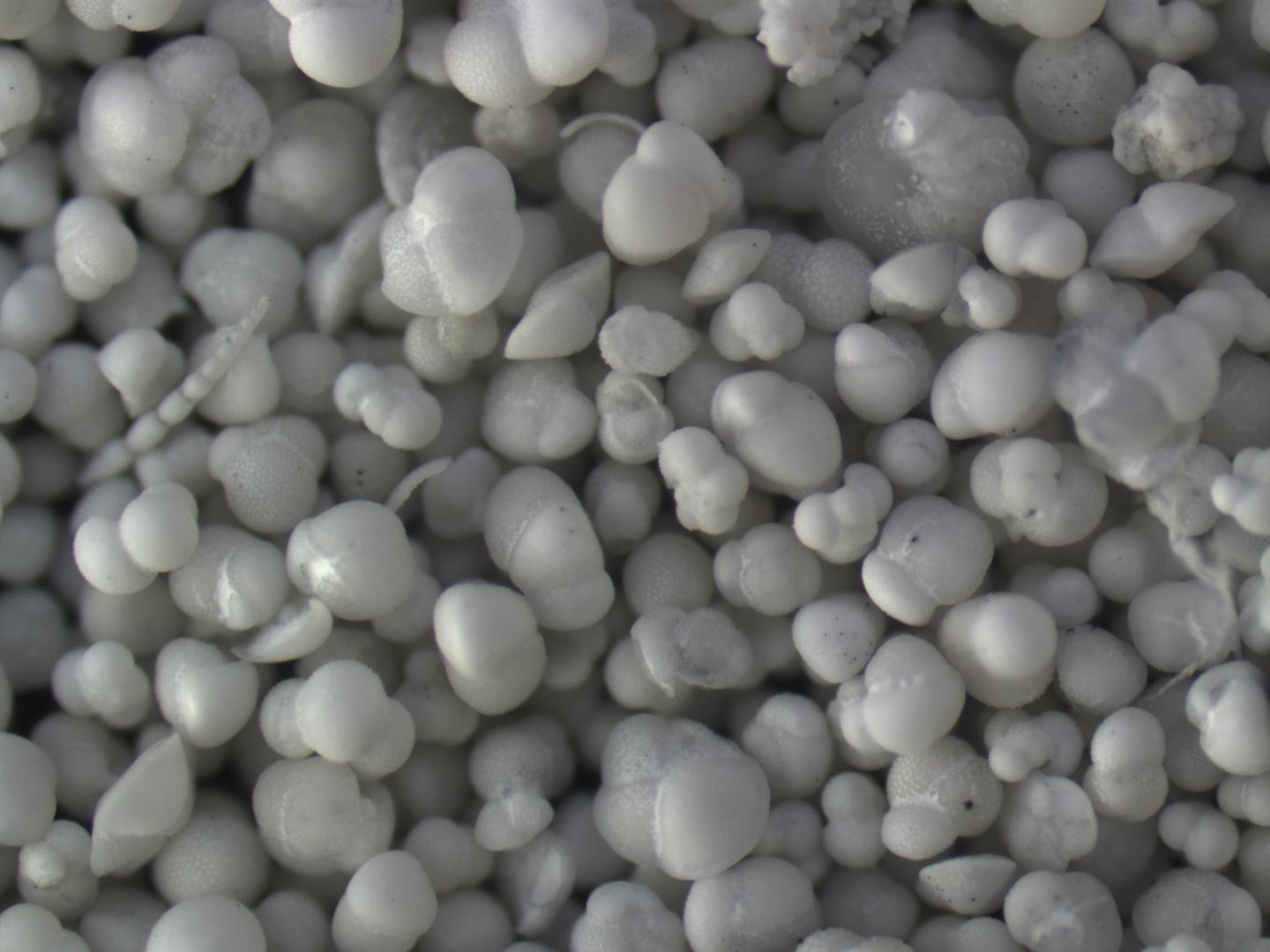 El Ni&ntilde;o Oscillation Less Variable in The Past (2 of 3)