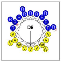 D8: a New Antimicrobial Peptide