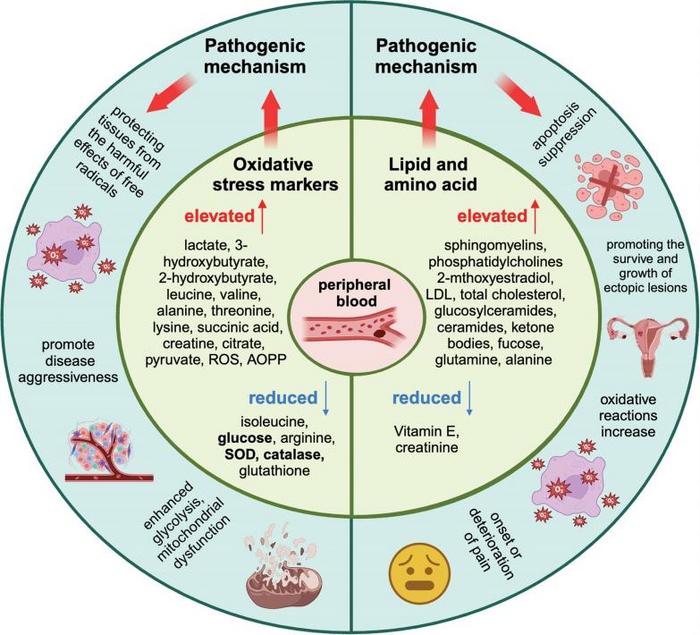 Metabolic markers in the peripheral blood of patients with endometriosis.