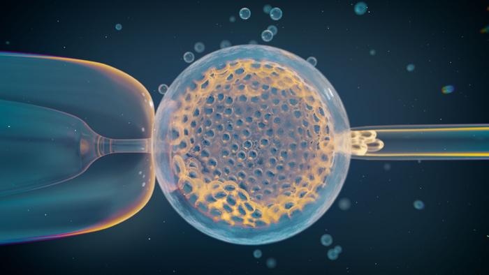IVF embryo biopsy