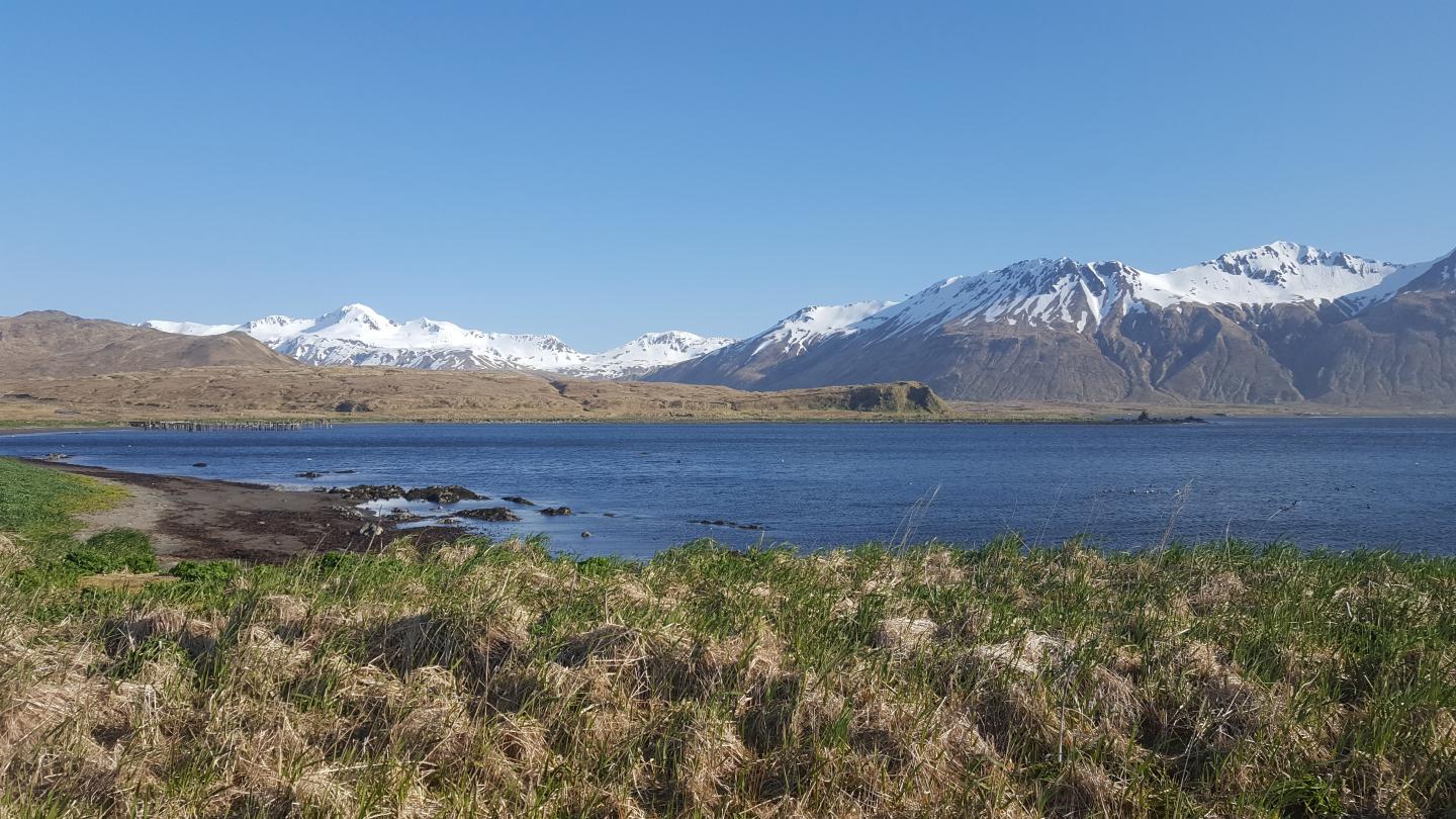 Attu Island