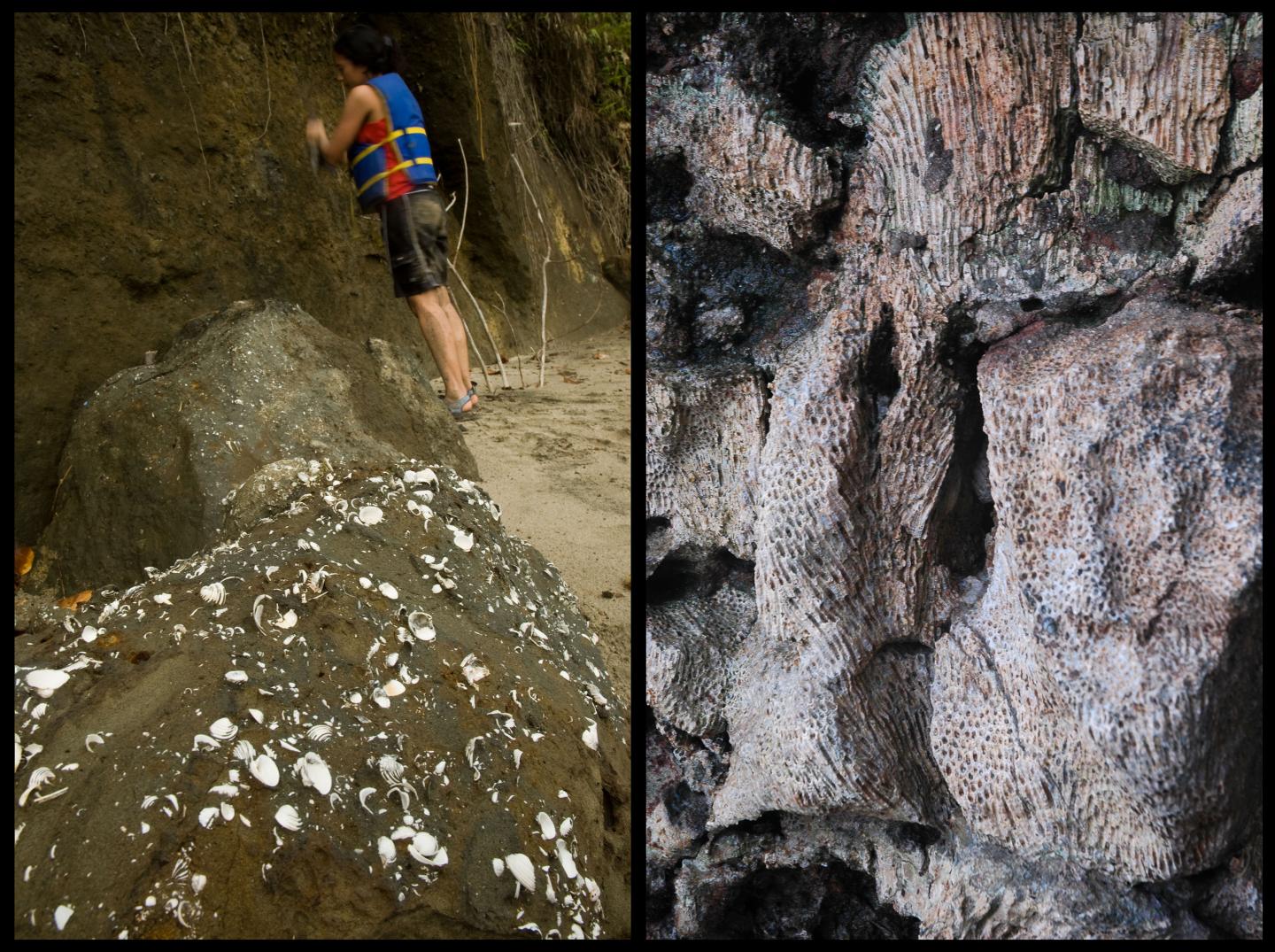 Isthmus of Panama Younger Than We Thought (3 of 8)
