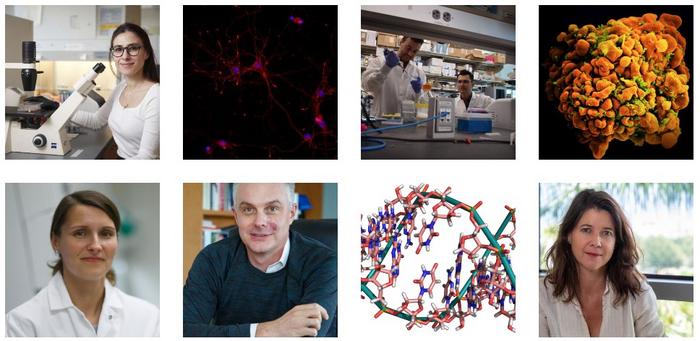 Wertheim UF Scripps scientists awarded $15.7 million in grants