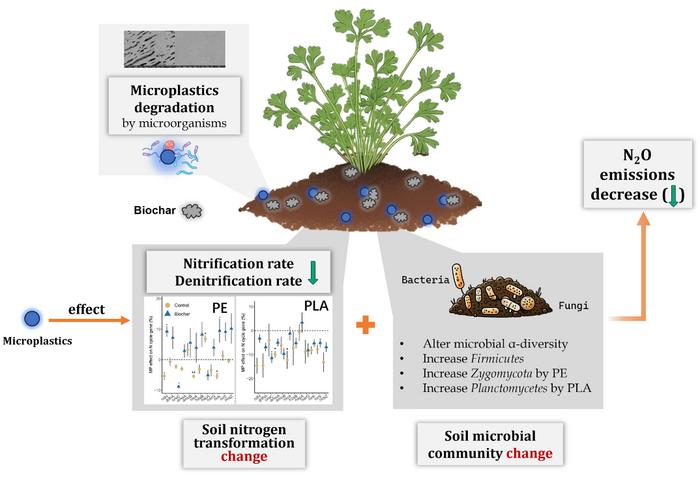 Biochar-microplastics interaction modulates soil nitrous oxide emissions and microbial communities