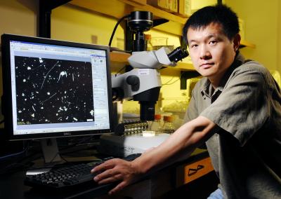Lin Jiang, Georgia Tech (1 of 2)