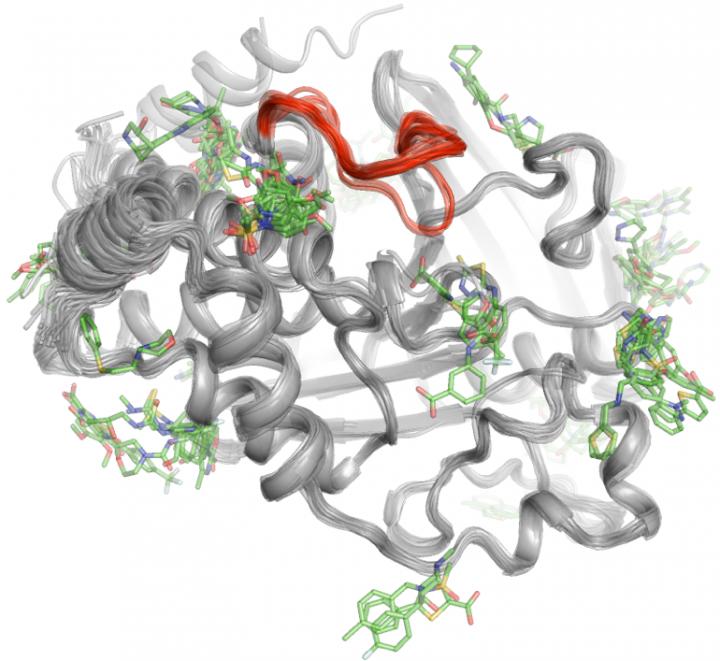 X-ray Crystallography Technique Helps Identify Protein Binding Sites