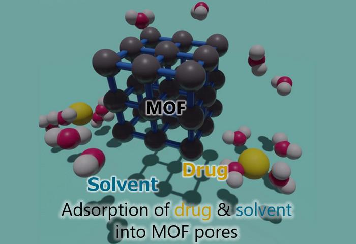 How drugs and solvents interact inside metal–organic framework (MOF) pores