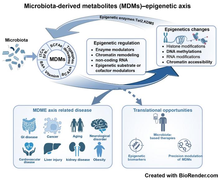 The Microbiota-Derived Metabolites-Epigenetics (MDME) Axis