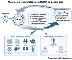 The Microbiota-Derived Metabolites-Epigenetics (MDME) Axis