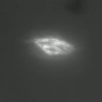 Real-time Printing of Human-Sized Capillaries