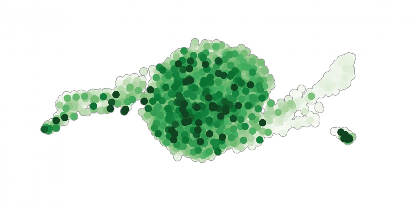Stem Cell Marker Lgr5 Decreases during Specialization of Cells