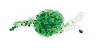 Stem Cell Marker Lgr5 Decreases during Specialization of Cells