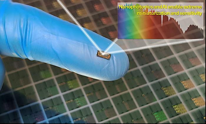 Spectrometer on a chip