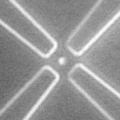 Particle Trap