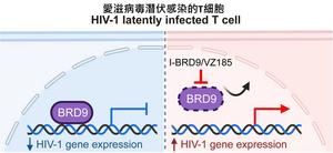 BRD9 protein