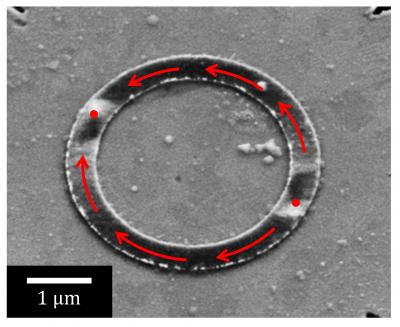 Ferromagnetic Ring