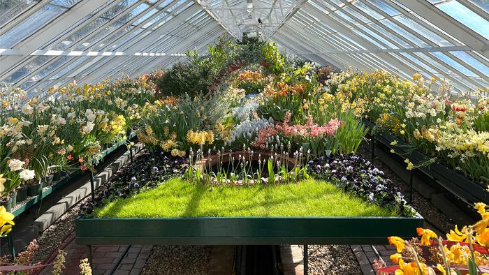 Botanical greenhouse
