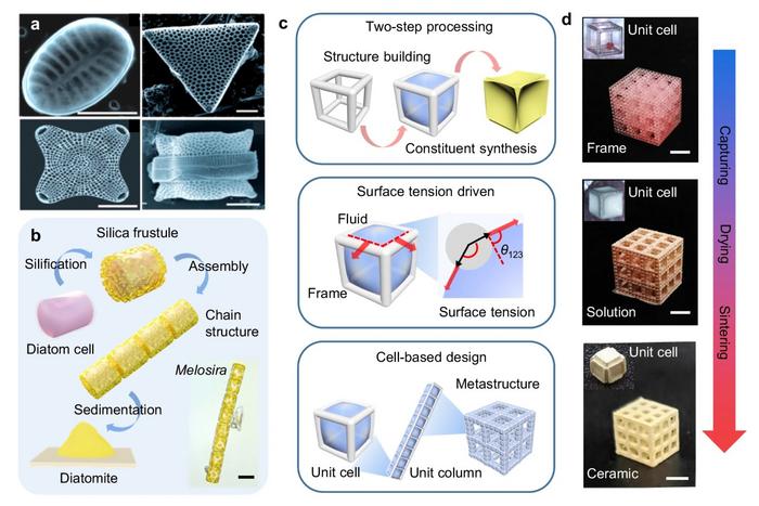 Nature-inspired design of the surface-tension-assisted two-step (STATS) manufacturing process.