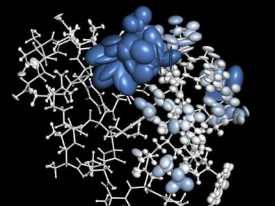 Atomistic Model of the Protein Villin Headpiece