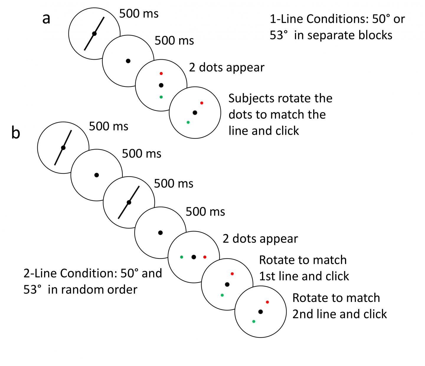 Overview of Line Task