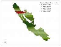 Variation in Effect of Protection within Kerinci Seblat National Park