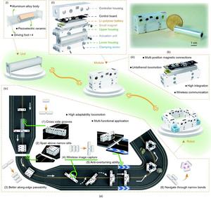 Design of the reconfigurable robots.