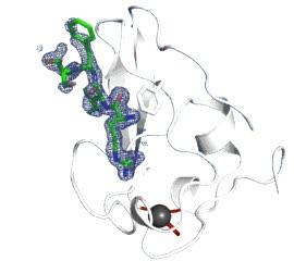 Your Body Recycling Proteins (1 of 2)