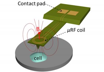 Microcoil 