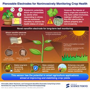 An innovative thin-film electrode that accommodates leaf hairs