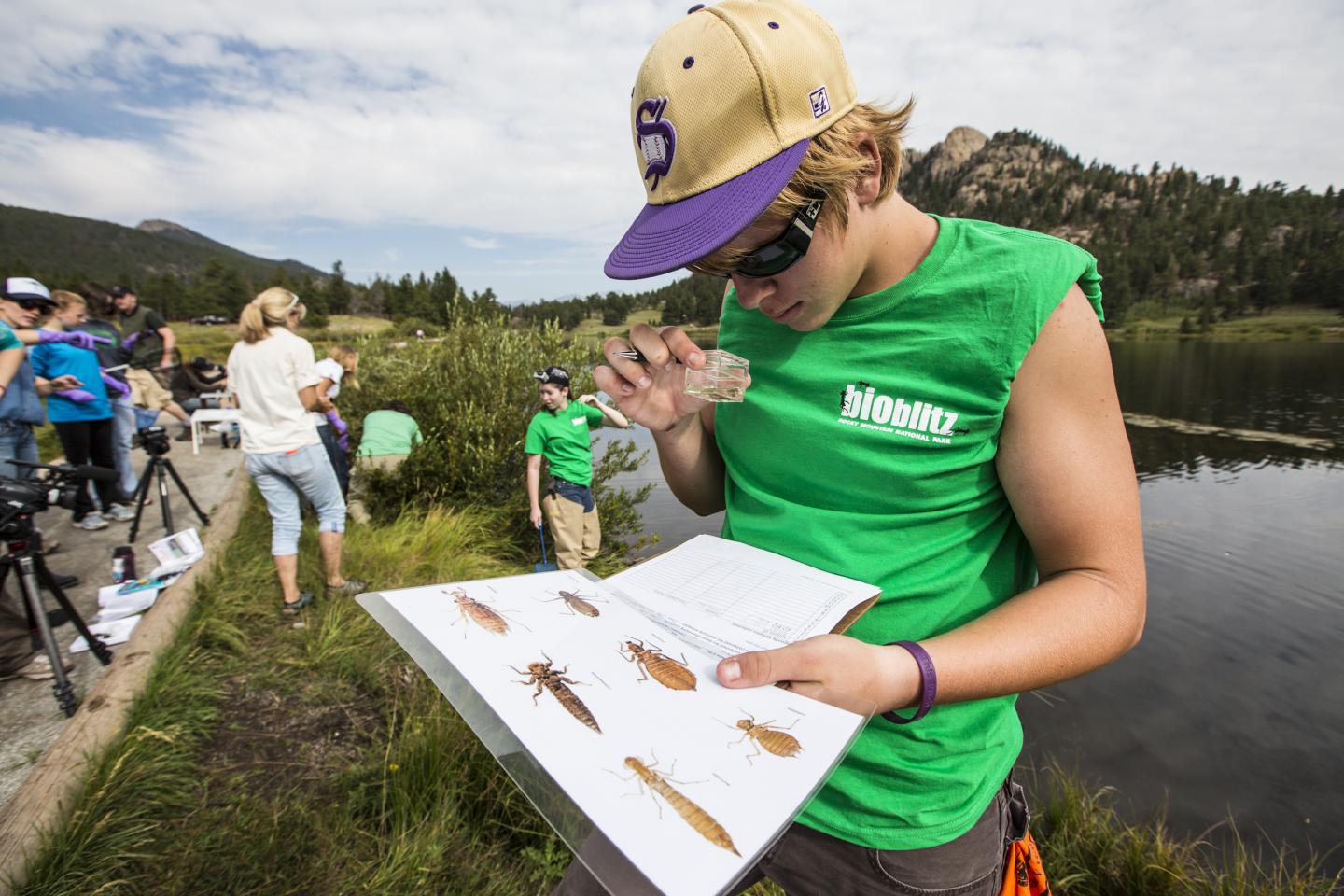 Identifying Invasive Species