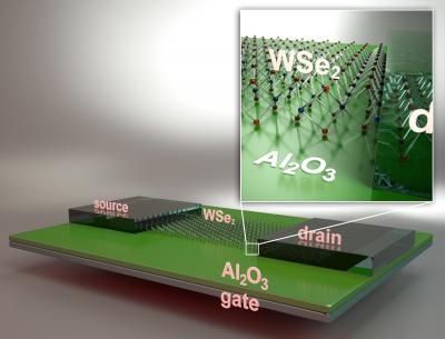 Illustration of FET Fabricated Using Monolayer WSe2