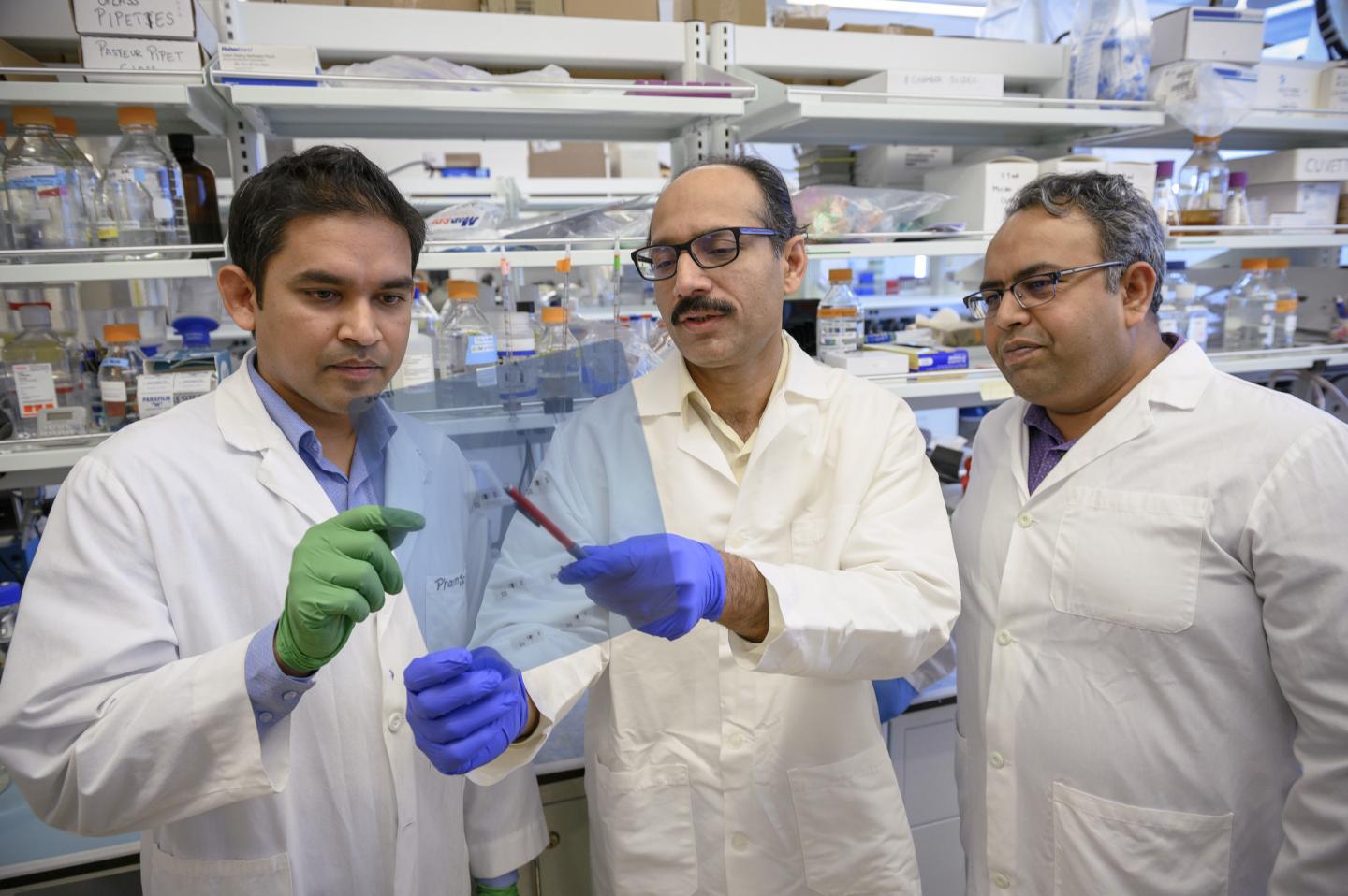 Ahmed Lab Protein Array