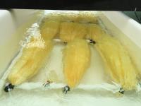 Yarn-like Uranium Adsorbent Testing