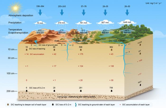 Projections of depth-specific SIC change rates under different climatic conditions by the end of the 21st century